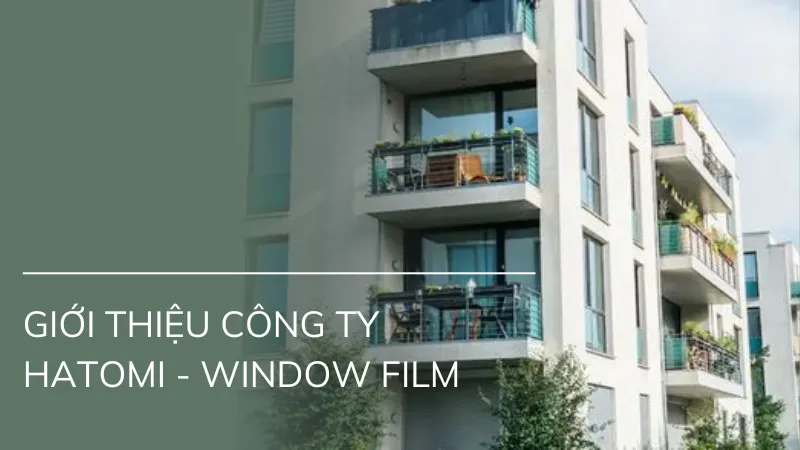 Giới thiệu HATOMI