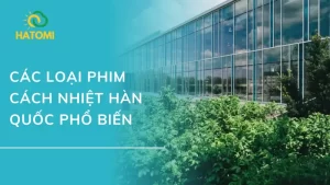 Các loại phim cách nhiệt Hàn Quốc phổ biến nhất hiện nay