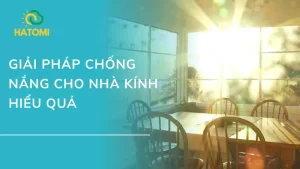 Top 5 Giải pháp chống nóng cho nhà kính hiệu quả nhất